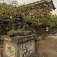 Accompagnement Keikaku Japon avril 2018 - 2