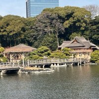 Accompagnement Keikaku Japon février 2023 - 1