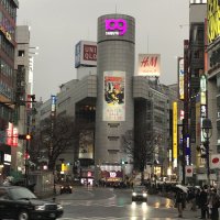 Accompagnement Keikaku Japon janvier 2020 - 3