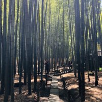 Accompagnement Keikaku Japon juillet 2019 - 3