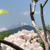 Accompagnement Keikaku Japon juillet 2018 - 1
