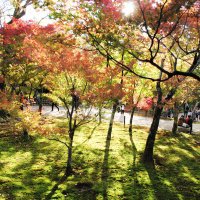 Accompagnement Keikaku Japon novembre 2018 - 3