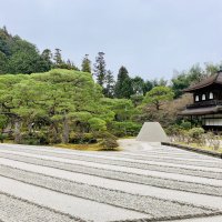 Accompagnement Keikaku Japon mars 2020 - 2