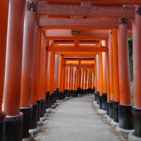 Accompagnement Keikaku Japon mai 2017 - 1