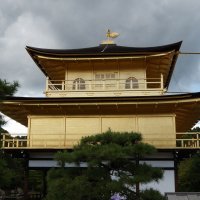 Accompagnement Keikaku Japon octobre 2024 - 1