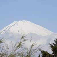 Accompagnement Keikaku Japon mai 2016 - 1