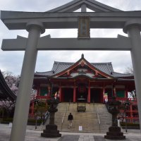 Accompagnement Keikaku Japon avril 2019 - 1
