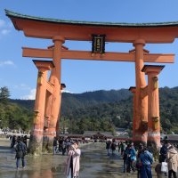 Accompagnement Keikaku Japon avril 2019 - 3