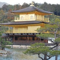 Accompagnement Keikaku Japon mars 2017 - 1