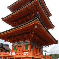 Accompagnement Keikaku Japon avril 2018 - 1