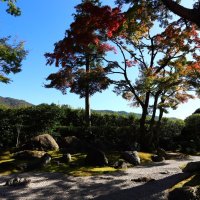 Accompagnement Keikaku Japon novembre 2019 - 1