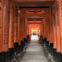 Accompagnement Keikaku Japon novembre 2019 - 2