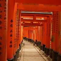 Accompagnement Keikaku Japon mai 2023 - 2
