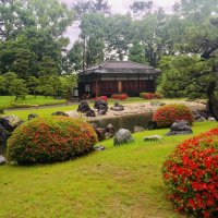 Accompagnement Keikaku Japon juin 2019 - 1