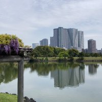 Accompagnement Keikaku Japon mai 2024 - 3