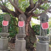 Accompagnement Keikaku Japon octobre 2023 - 2