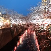 Accompagnement Keikaku Japon avril 2019 - 1
