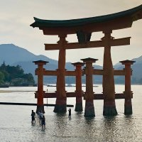 Accompagnement Keikaku Japon juin 2019 - 1