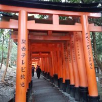 Accompagnement Keikaku Japon mars 2020 - 1