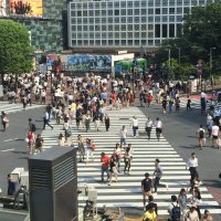 Accompagnement Keikaku Japon juillet 2016 - 1