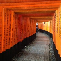 Accompagnement Keikaku Japon mai 2018 - 2