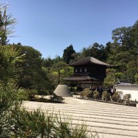 Accompagnement Keikaku Japon avril 2016 - 1