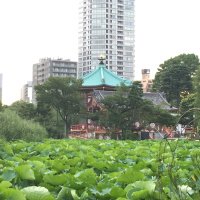Accompagnement Keikaku Japon juillet 2016 - 3