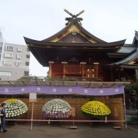 Accompagnement Keikaku Japon novembre 2016 - 1