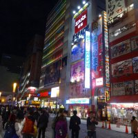 Accompagnement Keikaku Japon novembre 2016 - 2