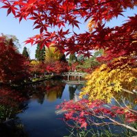 Accompagnement Keikaku Japon novembre 2016 - 3