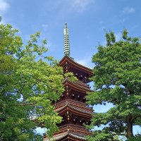 Accompagnement Keikaku Japon août 2023 - 1