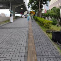 Accompagnement Keikaku Japon novembre 2024 - 1