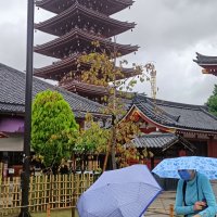 Accompagnement Keikaku Japon juin 2023 - 2
