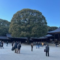 Accompagnement Keikaku Japon février 2025 - 1