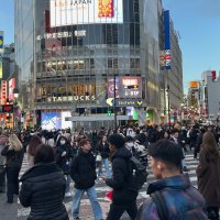 Accompagnement Keikaku Japon février 2025 - 2