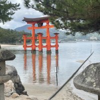 Accompagnement Keikaku Japon mai 2025 - 3