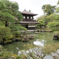 Accompagnement Keikaku Japon mai 2018 - 1