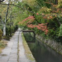 Accompagnement Keikaku Japon novembre 2019 - 1