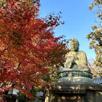 Accompagnement Keikaku Japon janvier 2024 - 1