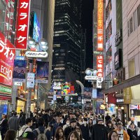 Accompagnement Keikaku Japon janvier 2024 - 2