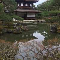 Accompagnement Keikaku Japon janvier 2018 - 1