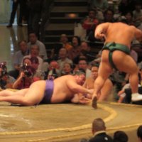 Accompagnement Keikaku Japon septembre 2017 - 1