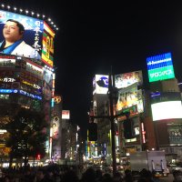 Accompagnement Keikaku Japon janvier 2018 - 3