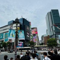 Accompagnement Keikaku Japon août 2024 - 3