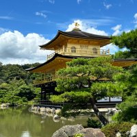 Accompagnement Keikaku Japon août 2024 - 1