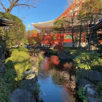 Accompagnement Keikaku Japon février 2023 - 2
