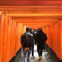 Accompagnement Keikaku Japon janvier 2017 - 1