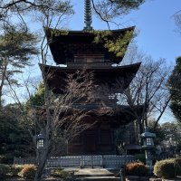 Accompagnement Keikaku Japon mars 2024 - 1