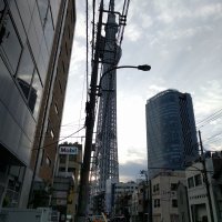 Accompagnement Keikaku Japon juin 2016 - 1