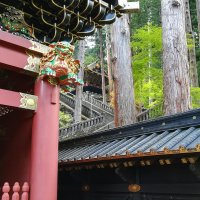 Accompagnement Keikaku Japon juin 2019 - 2